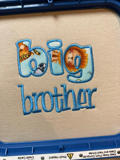 “Big Brother” & “Little Sister” Appliqué Kids T-Shirt 🐘💙💖